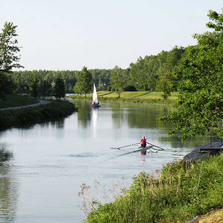 Altarm der Donau